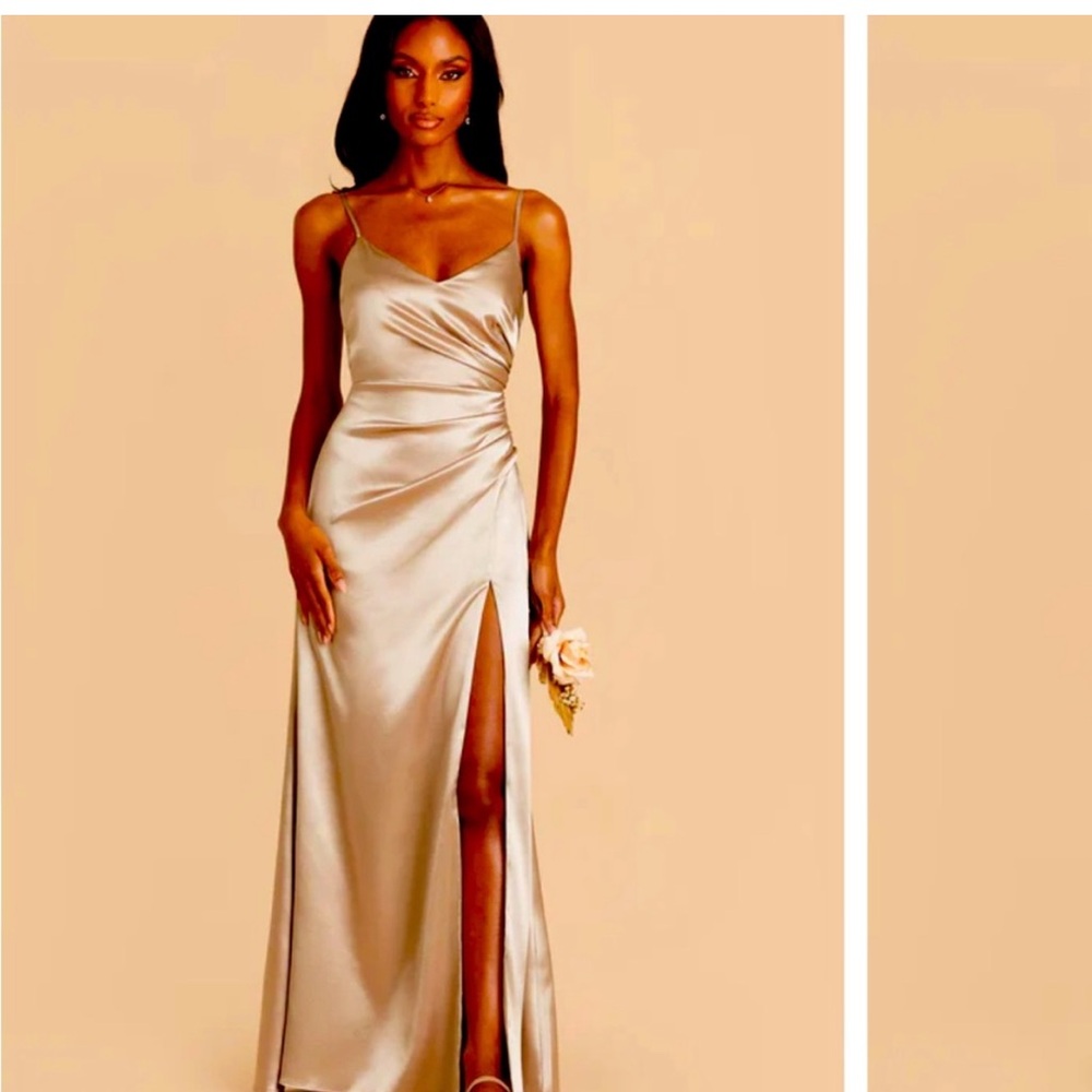 Birdy Grey Catherine Shiny Satin Dress - Neutral Champagne, new without tags